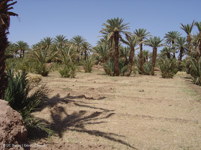 Maroc 2007 (151)