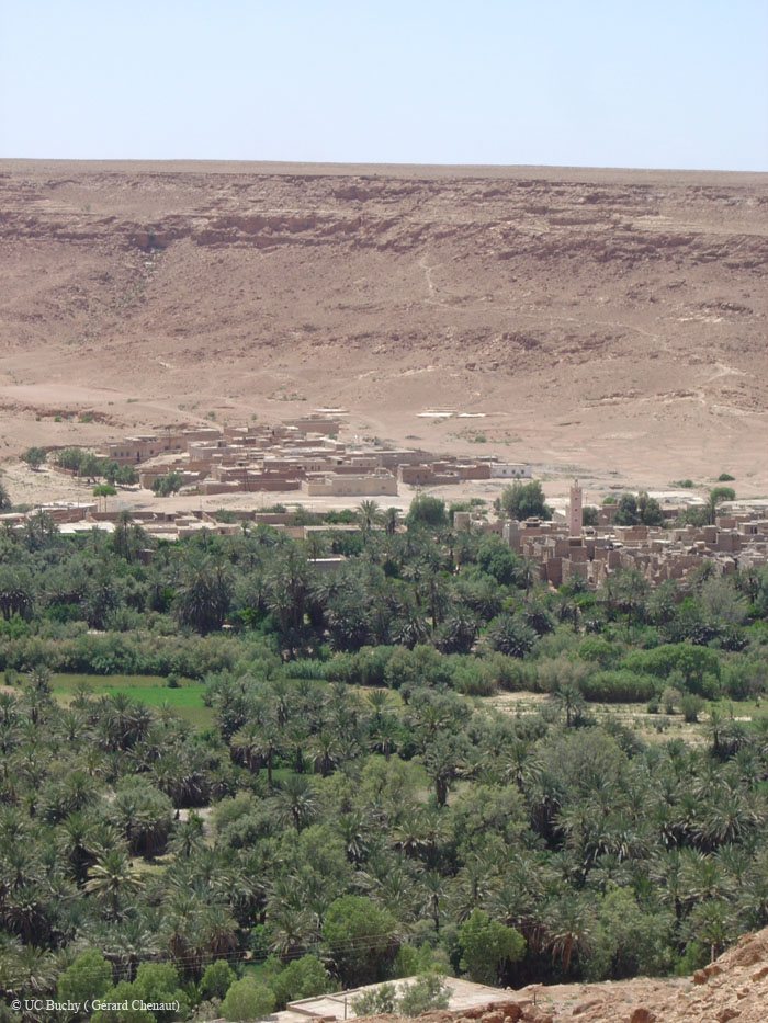 Maroc 2007 (241)