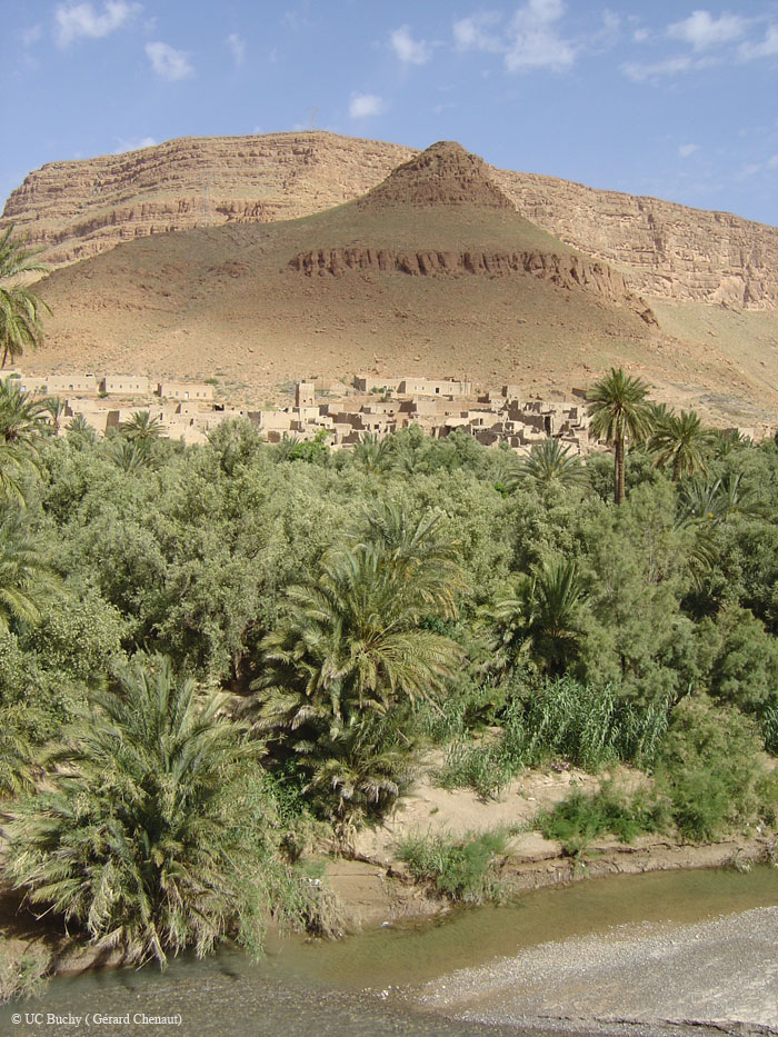 Maroc 2007 (260)